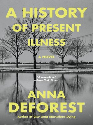 cover image of A History of Present Illness